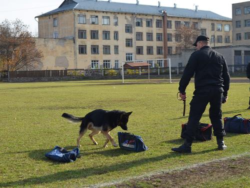 6. ������������� ����������� �������� � �������.