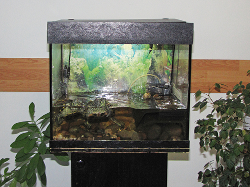 . � ����� �� ������ ���������� � ��������� ����� ��� ������� ���������.