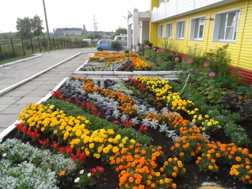 16. ��������������� ���������� � ���������� ���������� �������. 