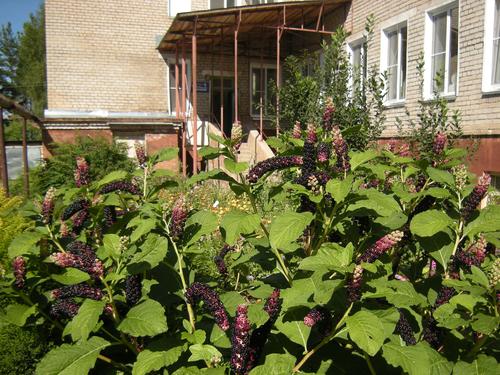 006. ������� �������������� ���������.