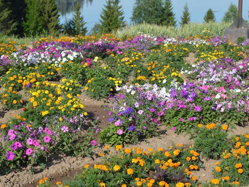 15������ ������. ��������� ��� ����� � ���������� ������� ������.