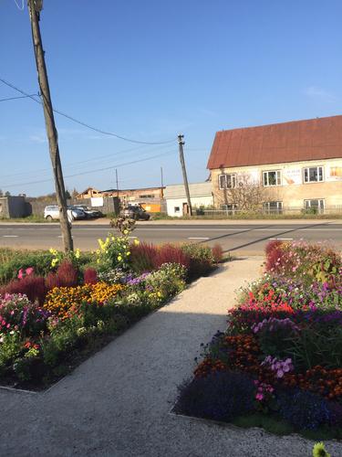 26����������. ��� � �.���������� ������-�������� ���.