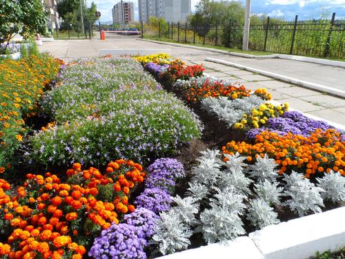 16. ��������������� ���������� � ���������� ���������� �������.