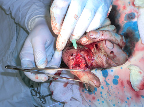 . �������� �� ����� ������������.