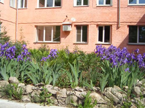 6�����. ��������� ��������� ��������������� ���������. 