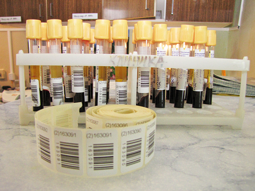 . ������ �������� ����� ���� �������������� �����-���.