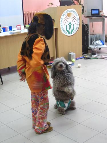 12. �������� ��� �����, ������� �������� ��������, � ��������� ��������� ������� ����������� ��������.